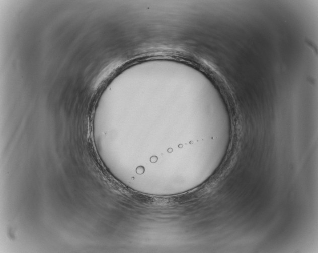 X0000100481267200806130724
