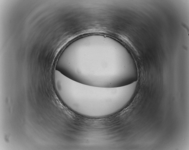 X0000100481268200806130724