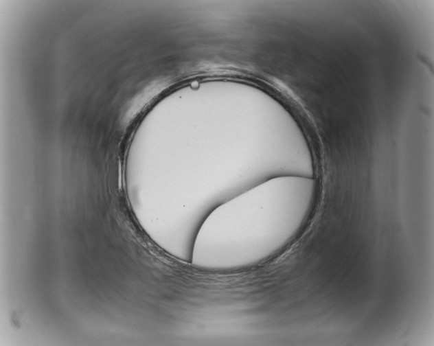 X0000100481269200806130724