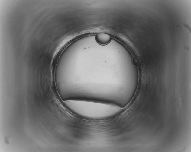 X0000100481270200806130724