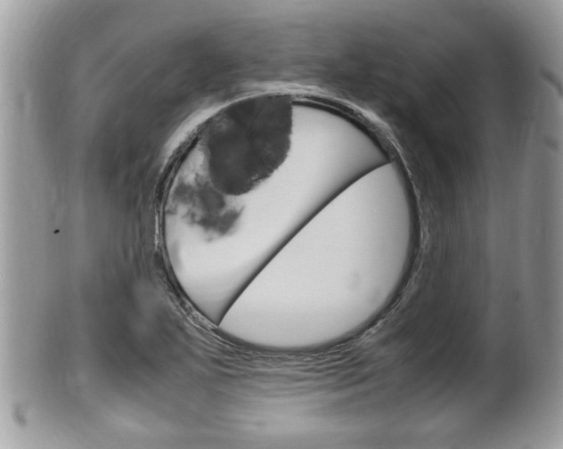 X0000100481271200806130724