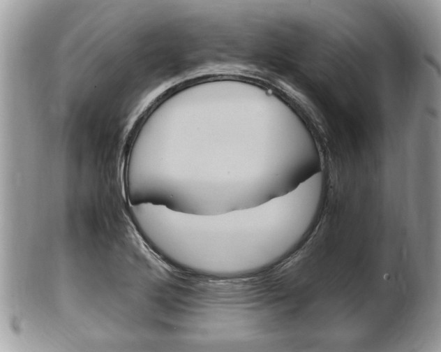 X0000100481272200806130724