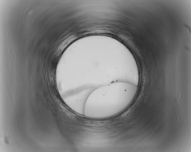 X0000100481273200806130724