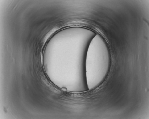 X0000100481275200806130724