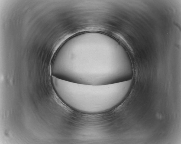 X0000100481276200806130724