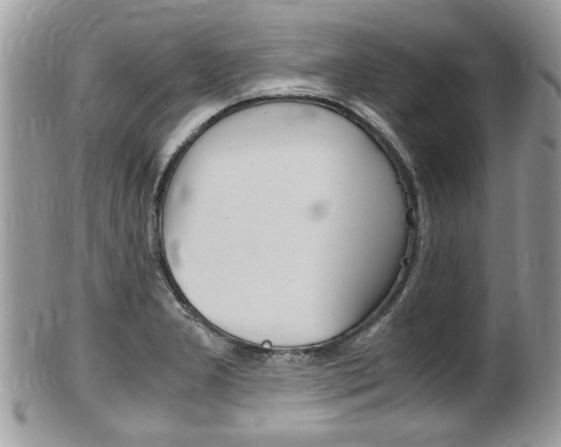 X0000100481277200806130724