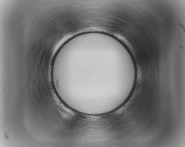X0000100481278200806130724