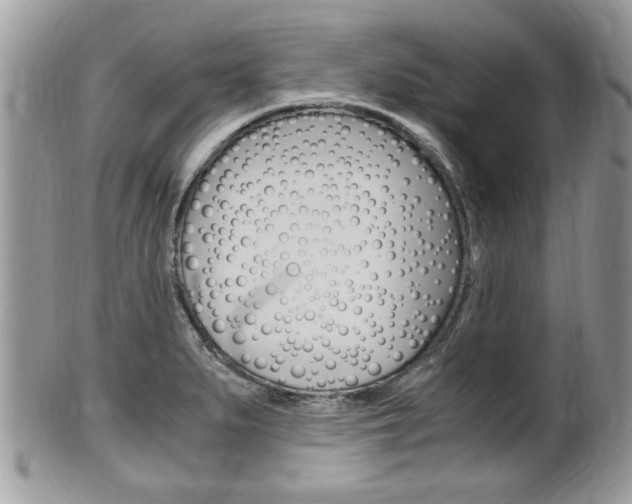 X0000100481279200806130724