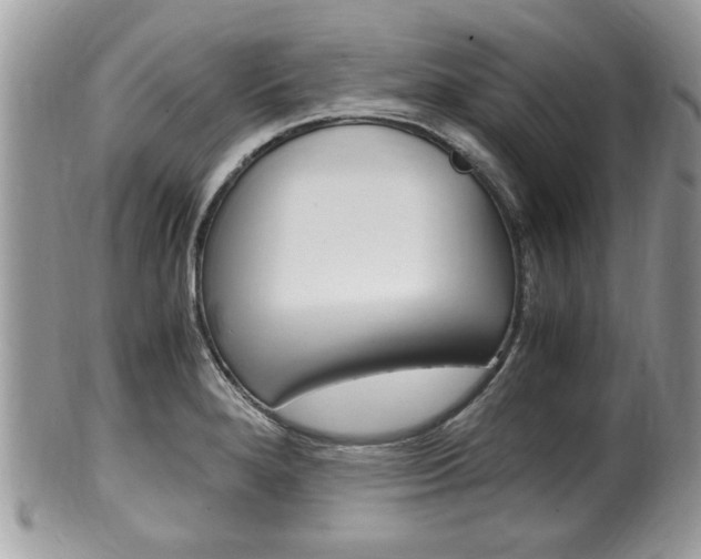 X0000100481280200806130724