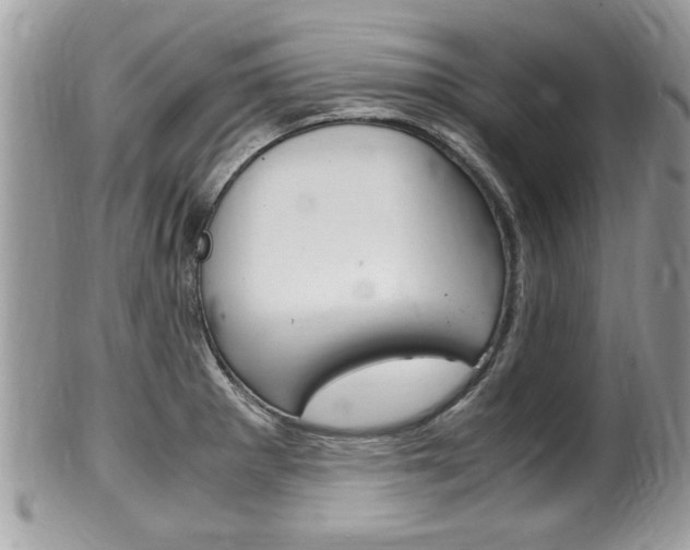 X0000100481281200806130724