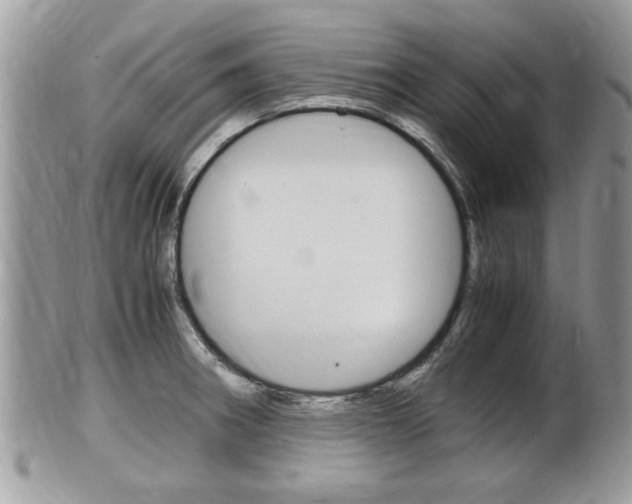 X0000100481282200806130724