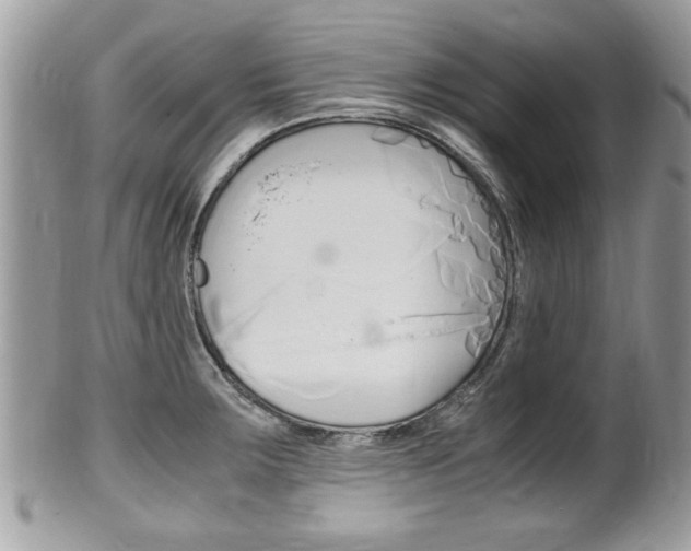 X0000100481283200806130724