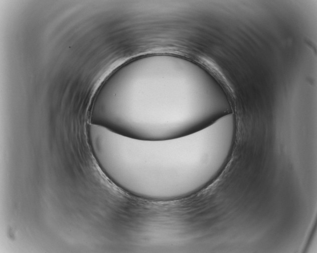 X0000100481284200806130724