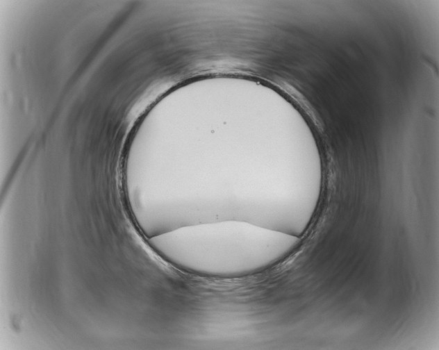 X0000100481285200806130724