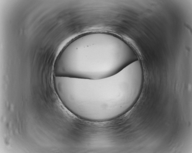 X0000100481288200806130724