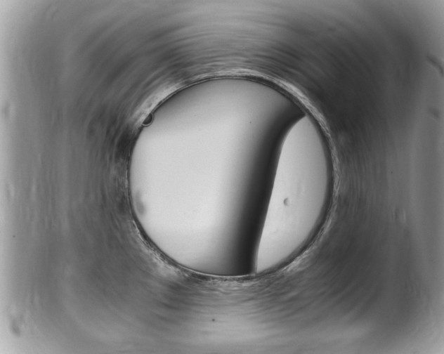 X0000100481289200806130724