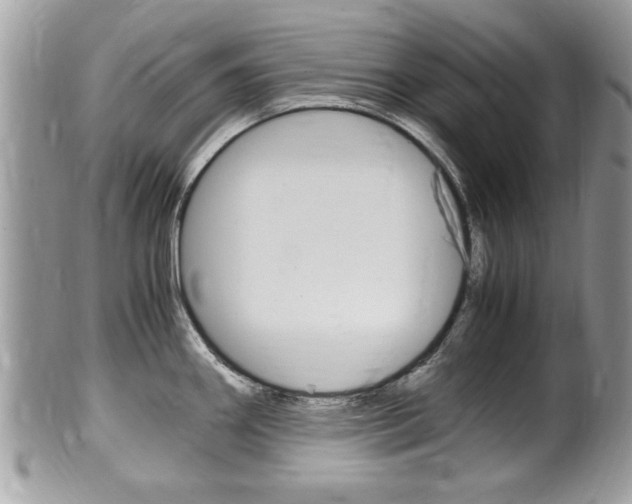X0000100481290200806130724