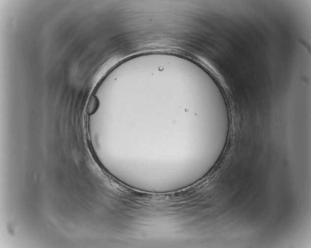 X0000100481291200806130724