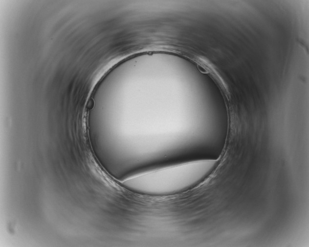 X0000100481292200806130724