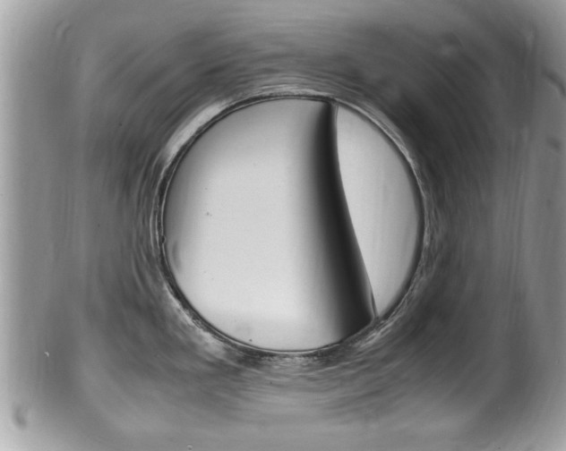 X0000100481293200806130724