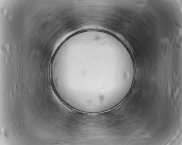 X0000100481295200806130724