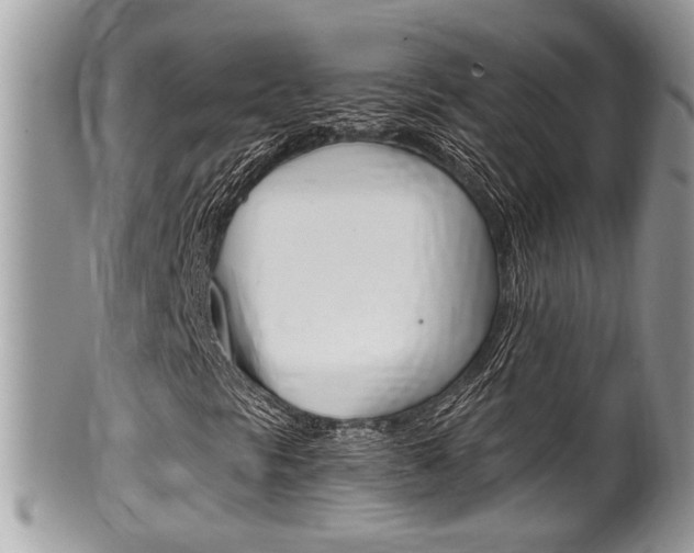 X0000100481297200806130723