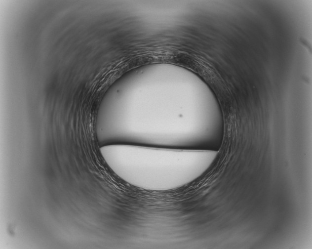 X0000100481298200806130723