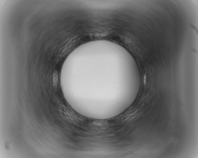 X0000100481299200806130723