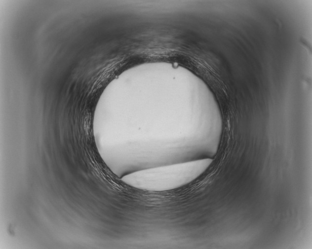 X0000100481300200806130723