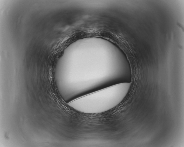 X0000100481301200806130723