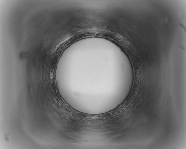 X0000100481302200806130723