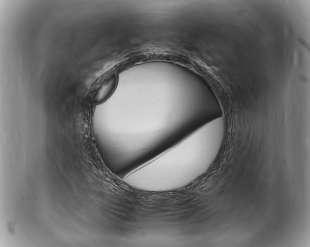 X0000100481303200806130723