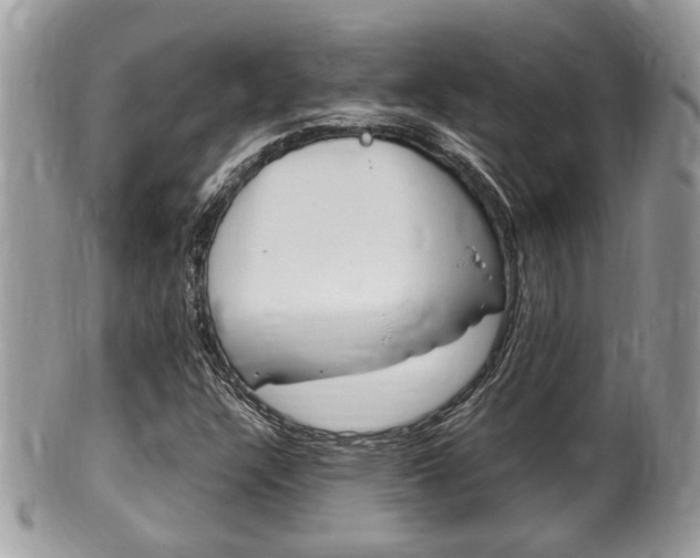 X0000100481304200806130723