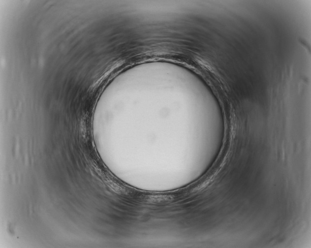X0000100481305200806130723