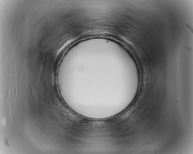 X0000100481306200806130723