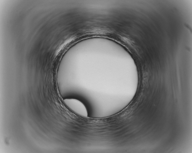 X0000100481307200806130723
