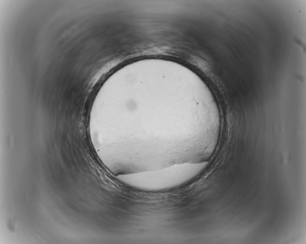 X0000100481308200806130723