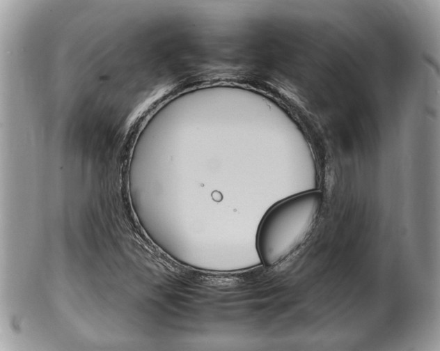 X0000100481309200806130723