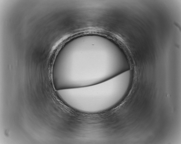 X0000100481310200806130723