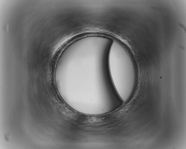 X0000100481311200806130723