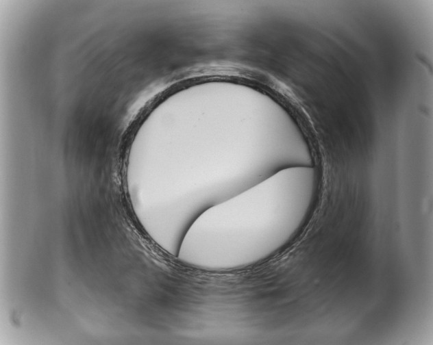 X0000100481312200806130723