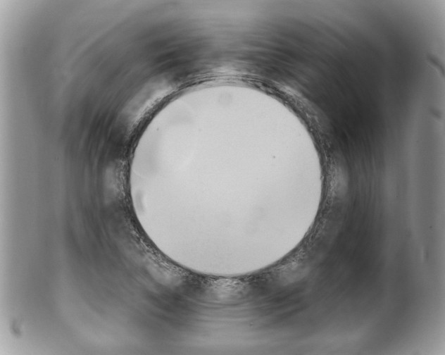 X0000100481314200806130723