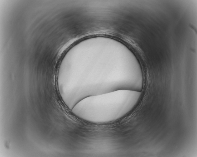 X0000100481316200806130723