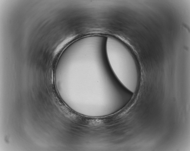 X0000100481317200806130723