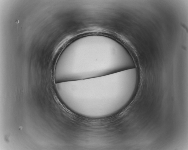 X0000100481318200806130723