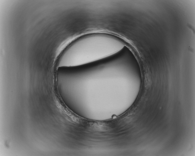 X0000100481319200806130723