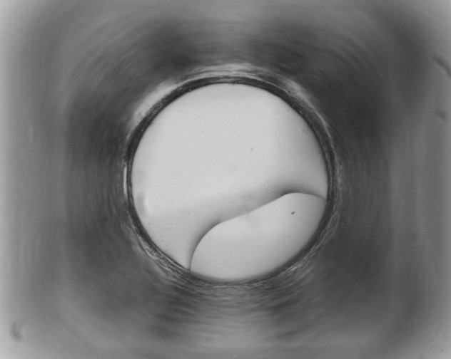 X0000100481320200806130723
