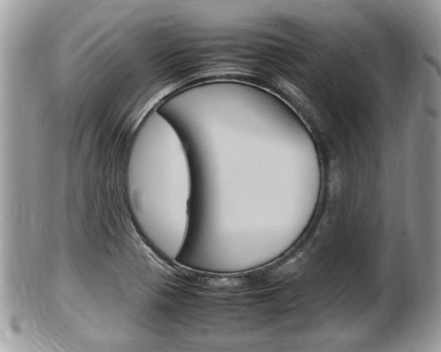 X0000100481321200806130723
