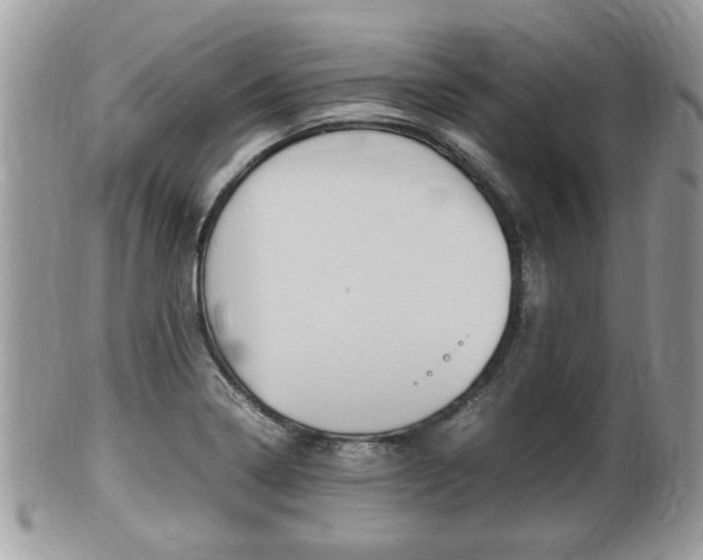 X0000100481322200806130723