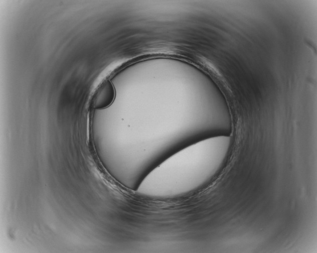 X0000100481323200806130724